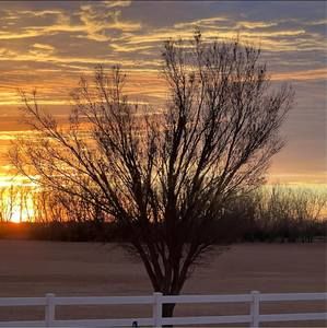 Meet your Posher, Jeri